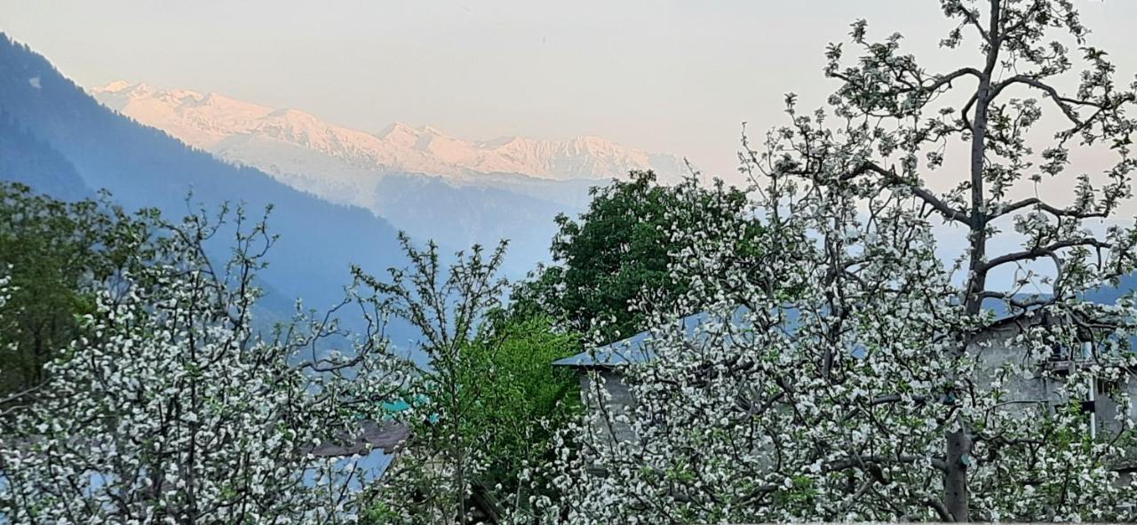 The Heaven'S Retreat Manali (Himachal Pradesh) Exterior photo